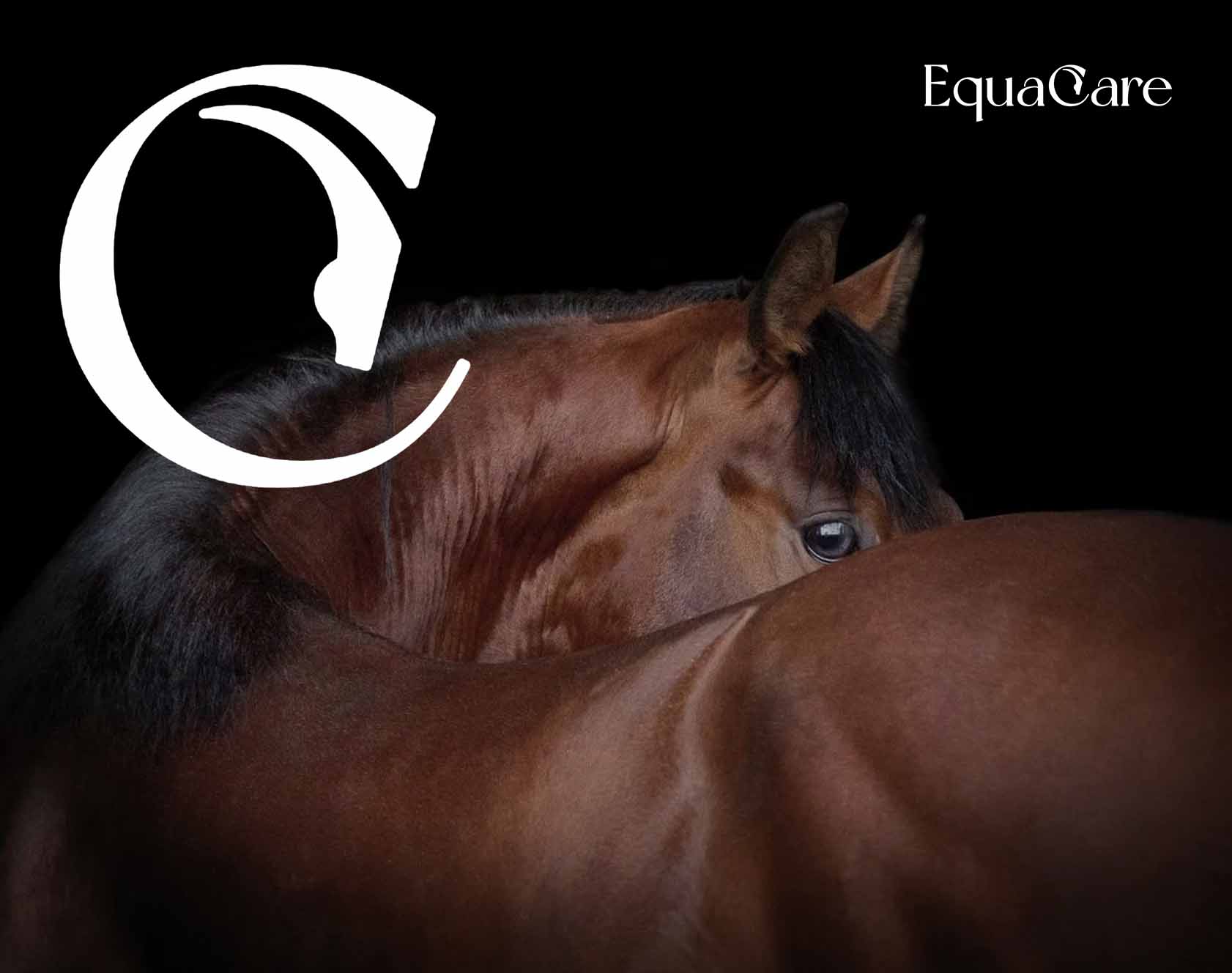 equacare header
